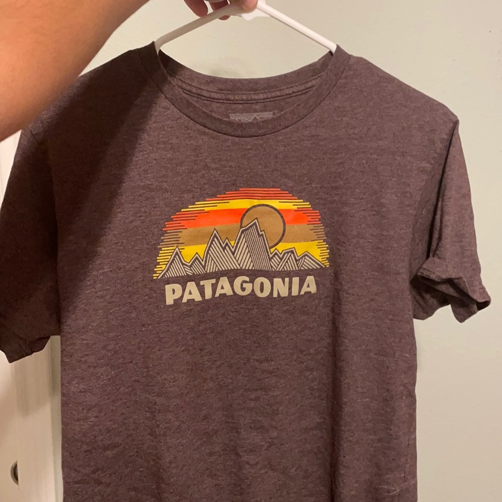Patagonia T-Shirt (M), maroonish color